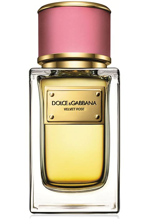 desiree dolce gabbana|velvet rose dolce and gabbana.